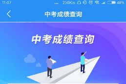 衡阳市党政门户网站 湖南中考成绩查询开通 点击进入